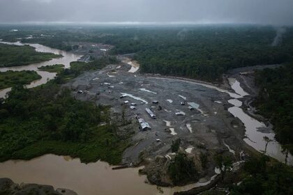 European Parliament agrees to dilute deforestation rules