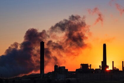 COP30: EU backs global carbon market alliance to cut CO2 emissions