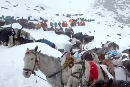 Avalanche in Nepal kills 7 climbers on Mount Yalung Ri