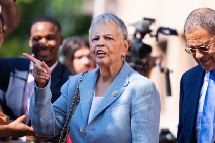 Another House Dem drops out of 2026 rat race as party faces generational reckoning