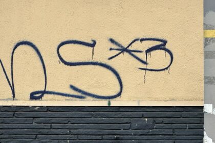 5 MS-13 gang members found guilty in string of gruesome California killings, bodies dumped off cliffs