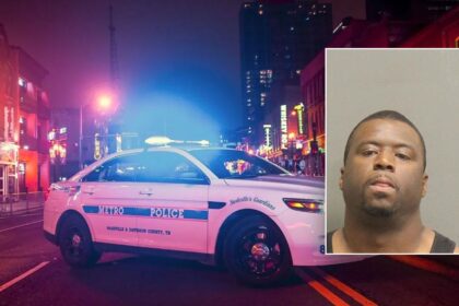 Convicted sex offender allegedly tried to kill woman he followed home from Nashville concert