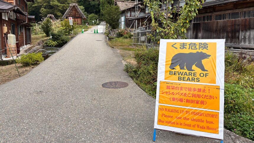 State Department warns Americans in Japan as deadly bear attacks kill 13 people since April: ‘Be diligent’