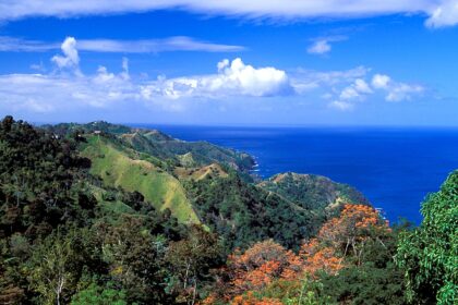 American tourist found stabbed to death in Tobago