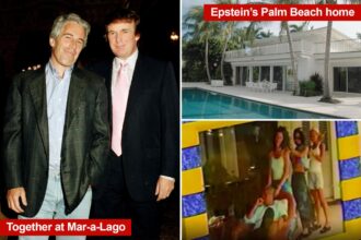 Jeffrey Epstein claimed Donald Trump ‘knew about the girls’ in 2019 email