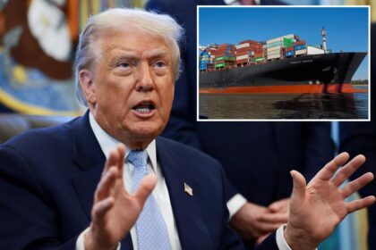 Trump reveals when ‘moderate income’ Americans can expect to get ,000 tariff dividend checks