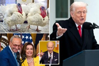 Trump re-pardons Biden turkeys in autopen jab — and jokes he considered naming this year’s birds ‘Chuck and Nancy’