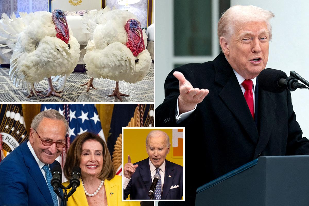 Trump re-pardons Biden turkeys in autopen jab — and jokes he considered naming this year’s birds ‘Chuck and Nancy’