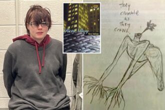 ‘Red flags’ ahead of ‘Slender Man’ stabber release included twisted torture books and graphic sketches