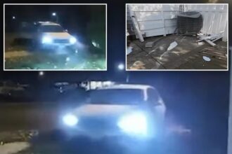 13-year-old twin sisters took parents’ car for destructive joyride through NJ nabe because they were ‘bored’: police