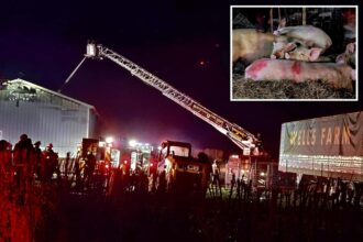 Devastating blaze rips through historic Long Island farm, killing dozens of animals, injuring family who tried to save them