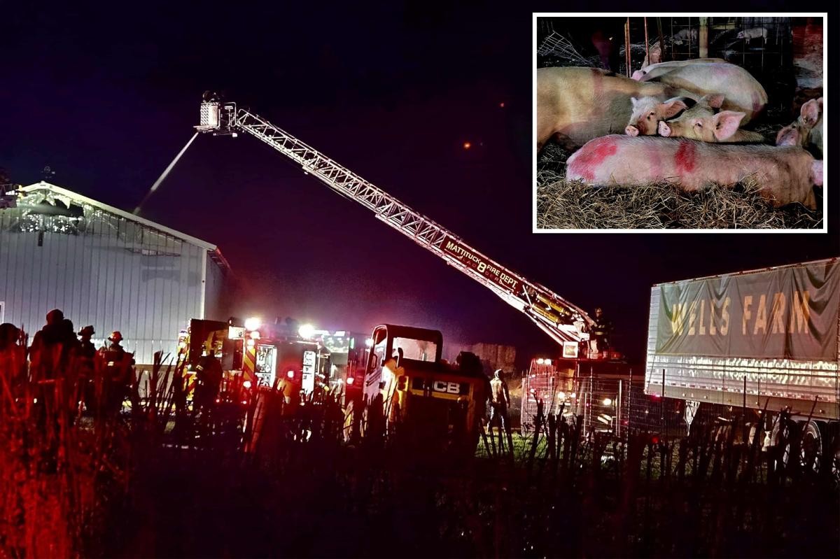 Devastating blaze rips through historic Long Island farm, killing dozens of animals, injuring family who tried to save them