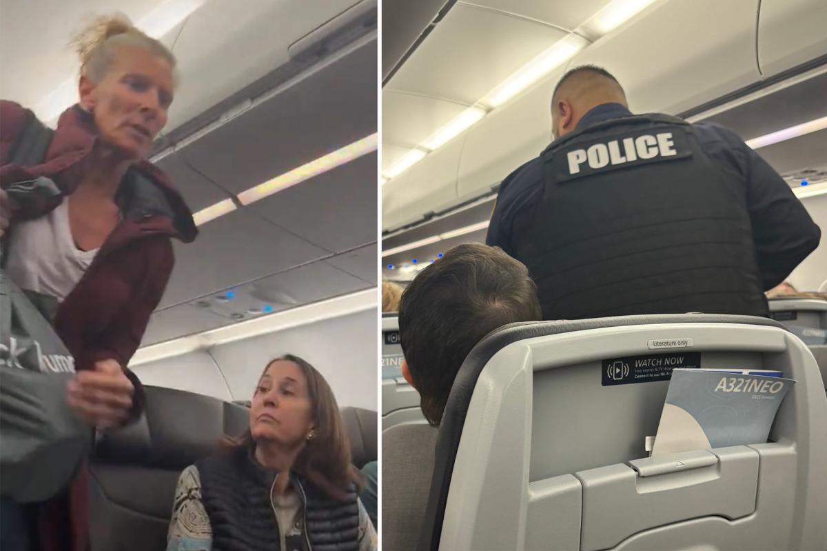 American Airlines flight carrying 4 Congressmen diverted over disruptive passenger who shouted about ‘fascist state’