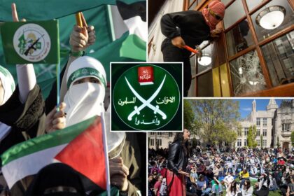 Radical Islamist organization Muslim Brotherhood is infiltrating US colleges to ‘transform Western society from within,’ report warns