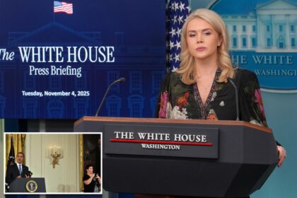 Federal judge orders White House to restore sign language interpreters at press briefings 