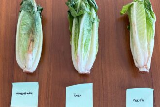 Are You Planning to Use Produce Bags? I Tested 3 to See if They Actually Work