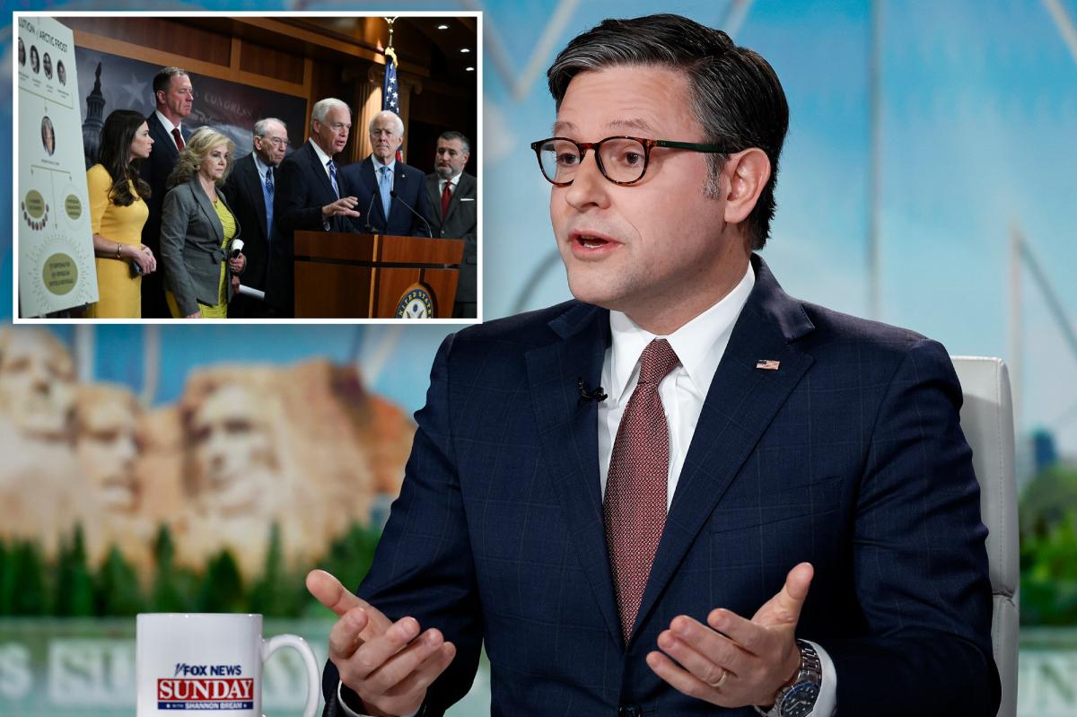 Arctic Frost provision in spending bill to let spied-on senators sue for 0K will ‘probably’ be repealed: Mike Johnson