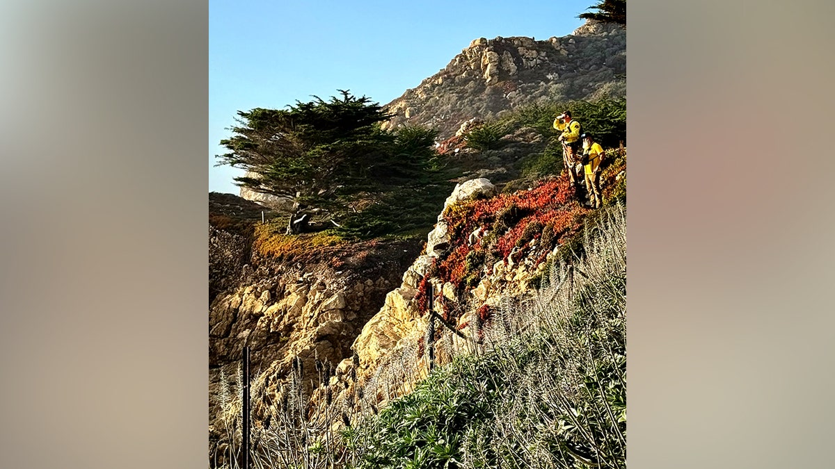 rescuer team members standing atop a cliff