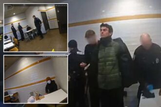 Bodycam images show Luigi Mangione’s McDonald’s arrest as defense challenges evidence collection