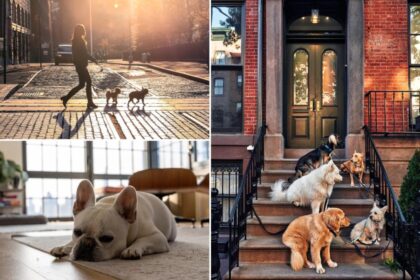 NYC renters with pets get slapped with over 0 in mandatory fees — but this neighboring city pays even more