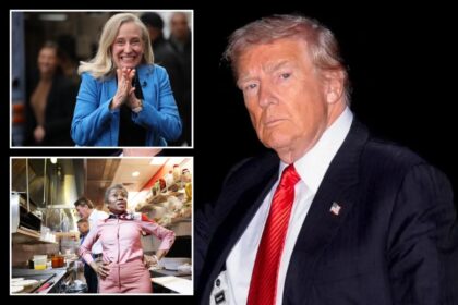 Trump pushes for NJ, VA upsets despite not wanting to ‘endorse losers’