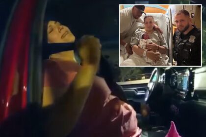 Michigan police officer delivers baby on side of road with help from dispatcher brother