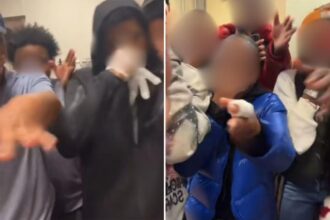 TikTok users slam new ‘degrading’ trend as teens turn public humiliation into content