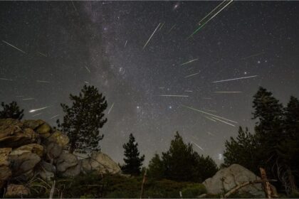 November Nights Will Dazzle with Three Meteor Showers. Here’s How to Watch Like a Pro