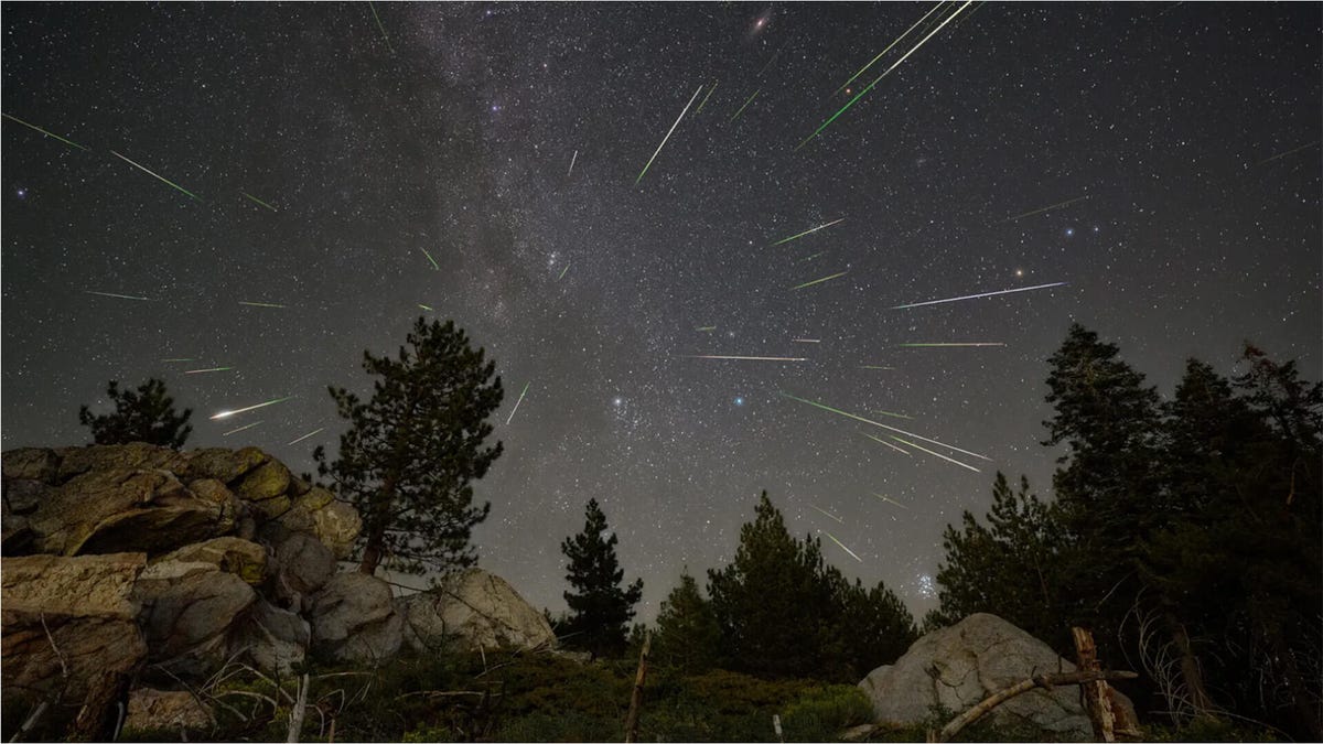 November Nights Will Dazzle with Three Meteor Showers. Here’s How to Watch Like a Pro