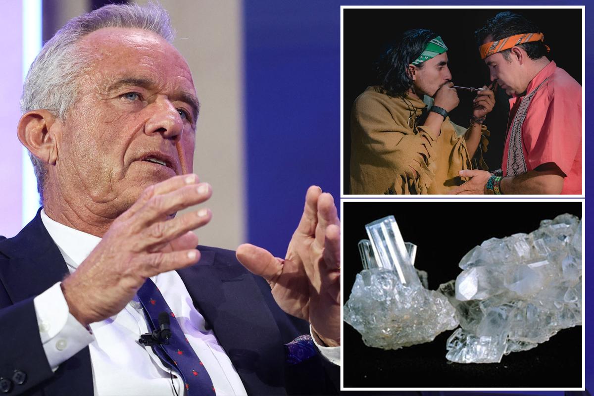 RFK Jr. allegedly smokes powerful psychedelic that gives people ‘near-death’ experiences: tell-all
