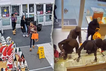 Black Friday theft threat turns holiday weekend into shoplifters’ ‘Super Bowl’: former detective