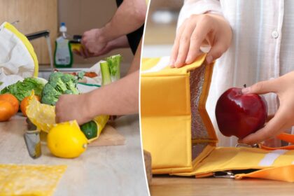 Wife caring for disabled son refuses to pack ‘perfectly capable’ husband’s lunch, sparking online debate