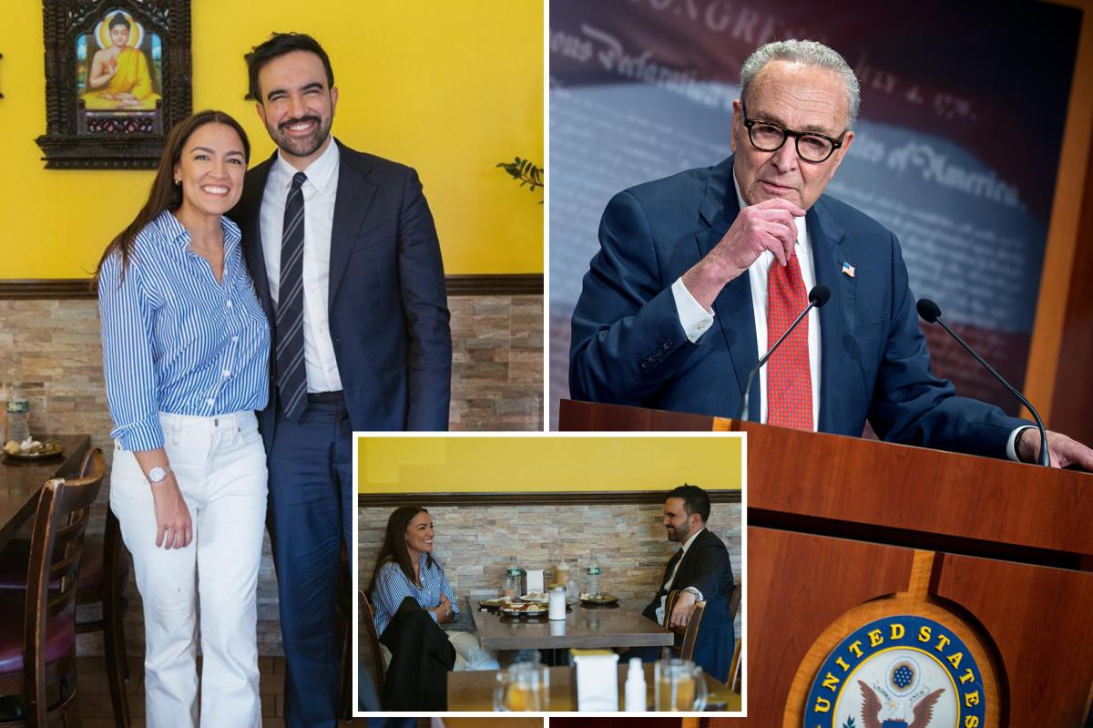 Zohran Mamdani refuses to say if Schumer should face election challenge — as he lunches with AOC