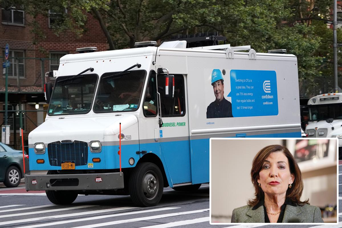 Dem-leaning group roasts NY’s green energy law as an ‘undeniable’ failure as customers zapped by soaring costs