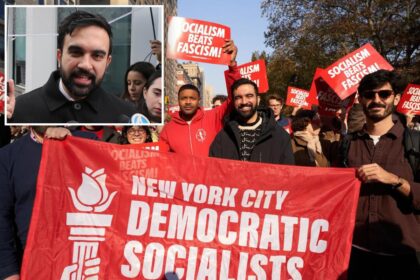DSA calls to infiltrate NYC government through community boards, PTAs — as Hochul ends up on ‘enemies’ list