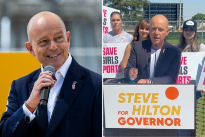 Steve Hilton, California gov candidate, launches tip line to expose fraud after  billion Minnesota debacle