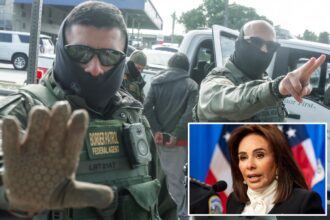 Jeanine Pirro targets blue state governors, says illegal migrants ‘don’t have a right to be in this country’