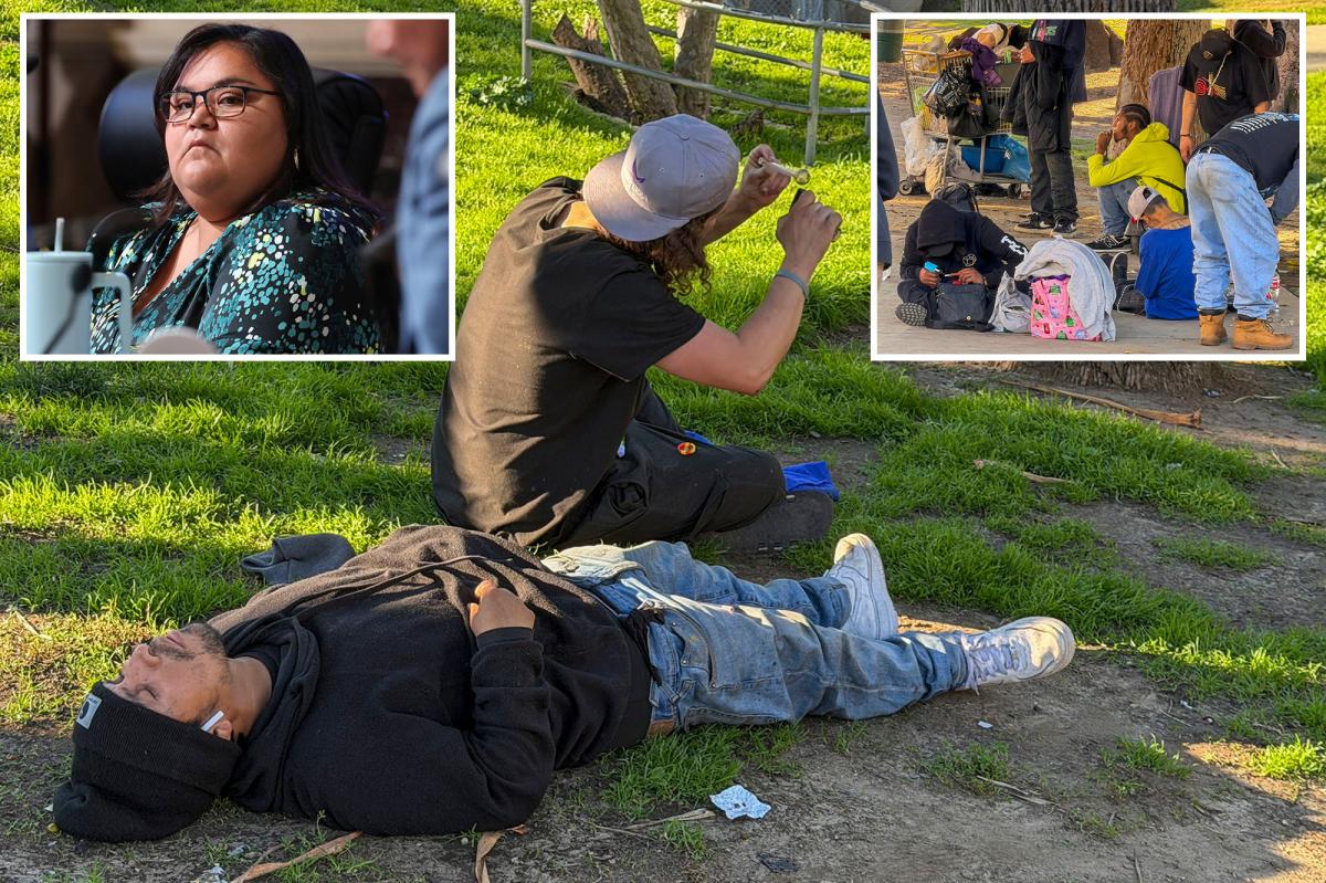 Meet the socialist LA leader making 0K to reign over drug-infested park as it crumbles