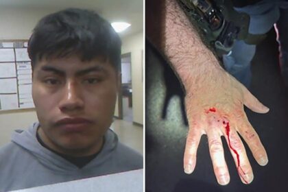 Illegal immigrant bites ICE officer, draws blood while resisting arrest in Louisiana: DHS