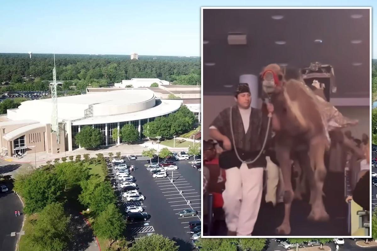 Shocking video shows camel kick woman in face, knocking her out at Texas megachurch Christmas celebration