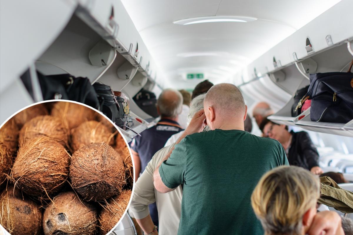 Here’s why savvy travelers fly with coconuts in their carry-on bag — and yes, it’s legal