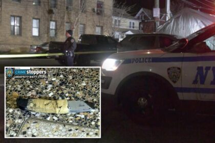 NYPD officer shoots, kills box cutter-wielding madman in front of his parents