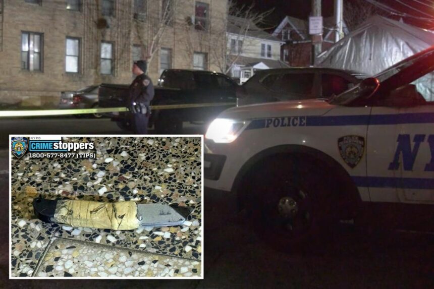 NYPD officer shoots, kills box cutter-wielding madman in front of his parents