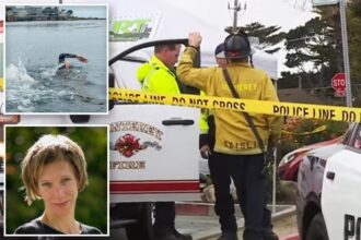 Female triathlete, 55, feared to be shark attack victim after disappearing off Calif. coast