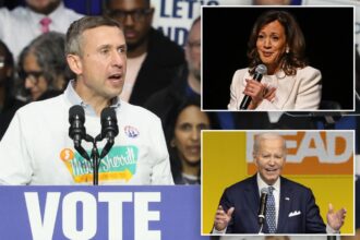DNC ‘drowning’ in nearly M of debt — and pointing fingers as failed 2024 Biden-Harris campaign haunts Dems