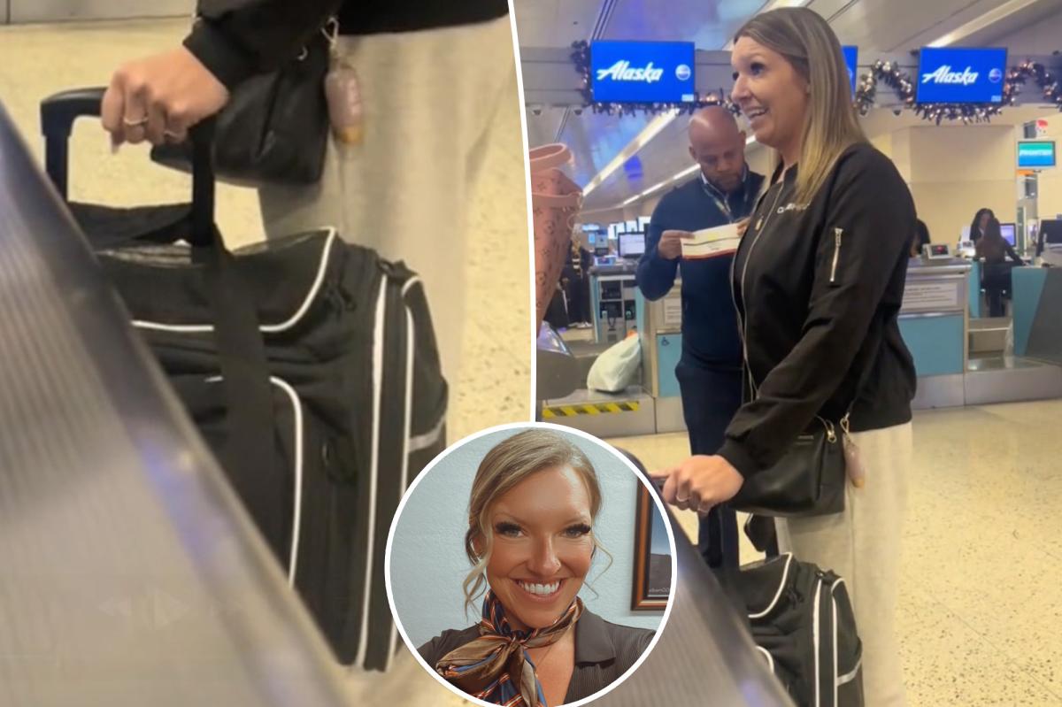 Passenger explodes at Alaska Airlines staff for refusing to let her cram 2 cats under her seat: ‘You’re ruining Christmas!’