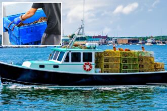 0K shipment of live lobsters hijacked on way to Costco in possible ring of thieves