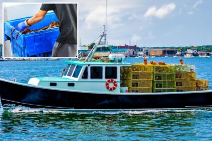 0K shipment of live lobsters hijacked on way to Costco in possible ring of thieves