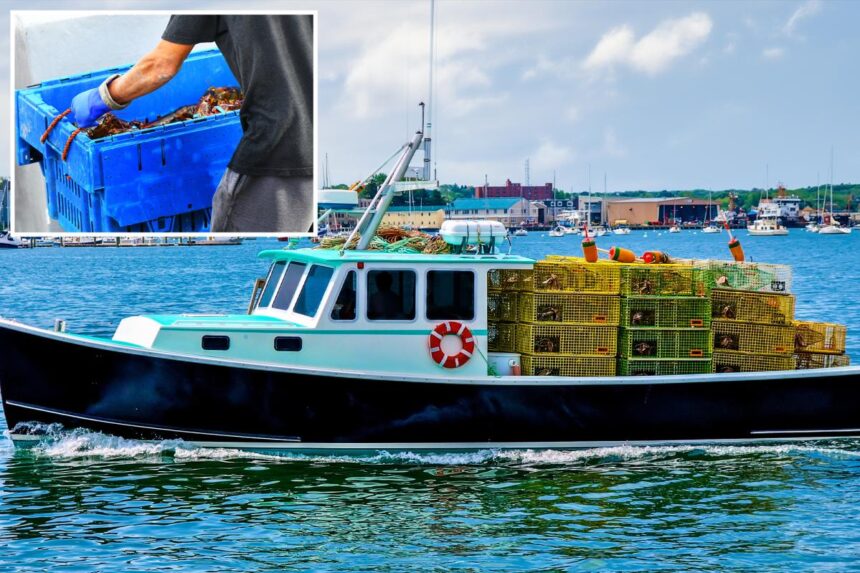 0K shipment of live lobsters hijacked on way to Costco in possible ring of thieves