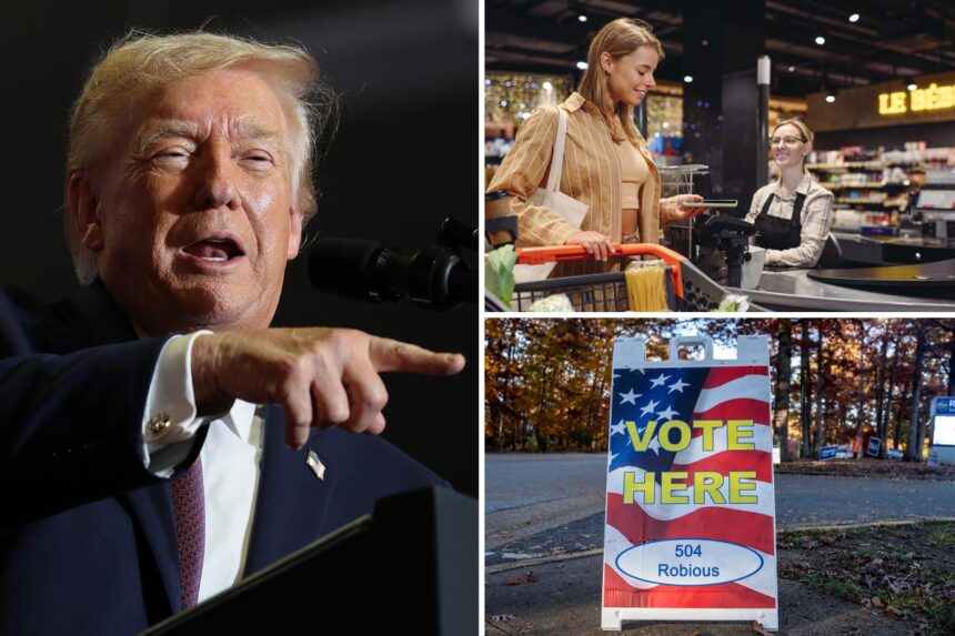 Trump says ‘pricing’ will decide next year’s elections